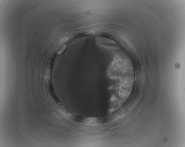 X0000097620127200803142010