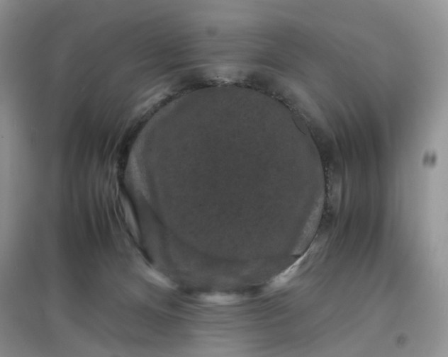 X0000097620128200803142010