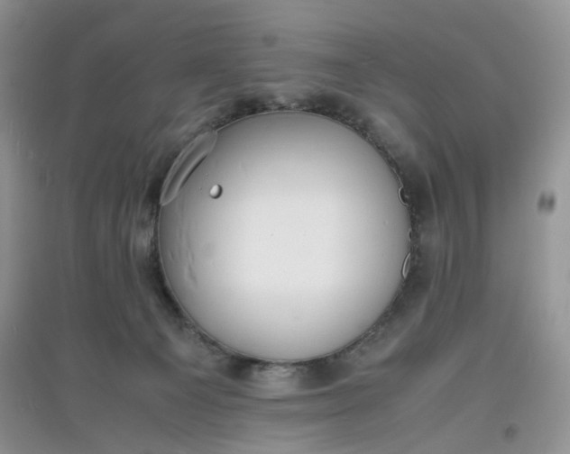 X0000097620129200803142010