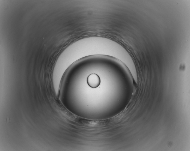 X0000097620130200803142010