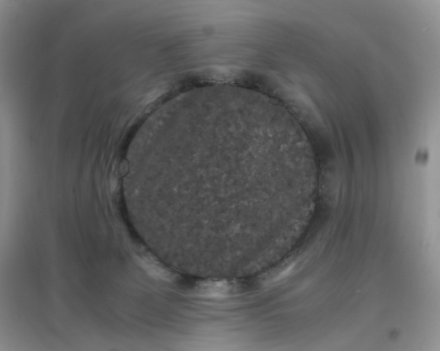 X0000097620131200803142010