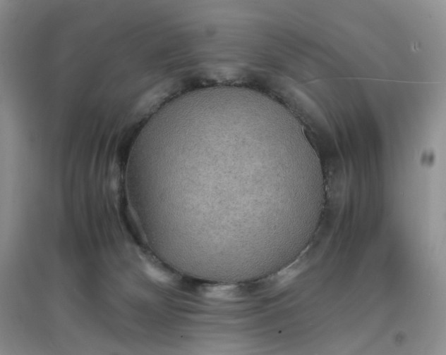X0000097620132200803142010