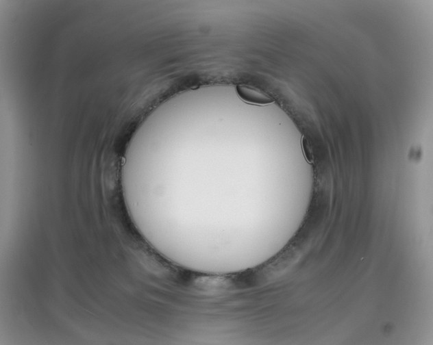 X0000097620133200803142010