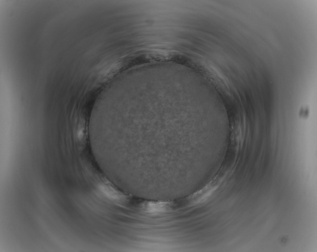 X0000097620134200803142010