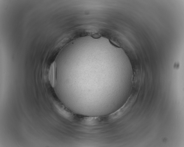 X0000097620136200803142010