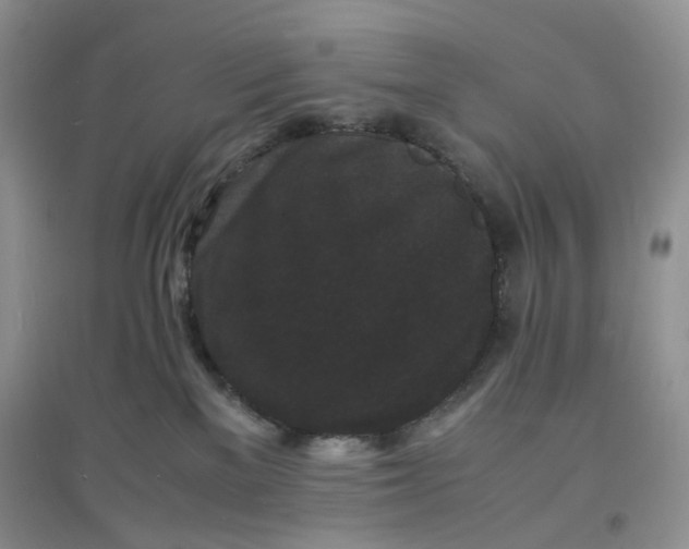 X0000097620137200803142010