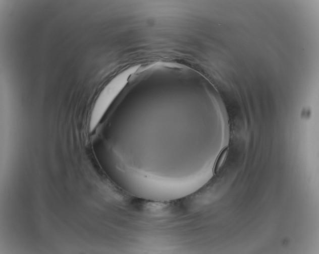 X0000097620139200803142010