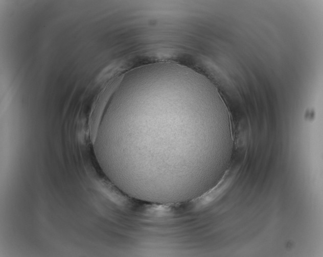 X0000097620140200803142010