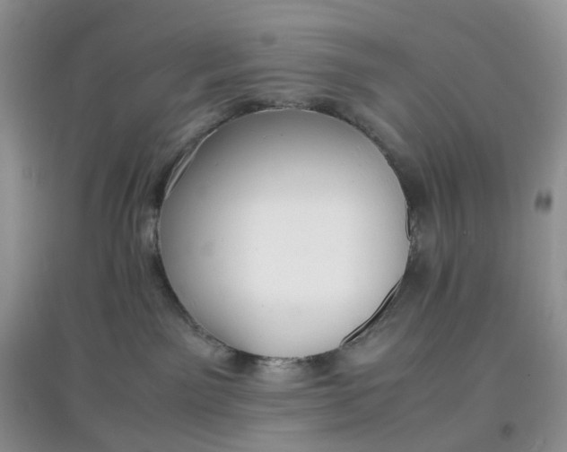 X0000097620141200803142010