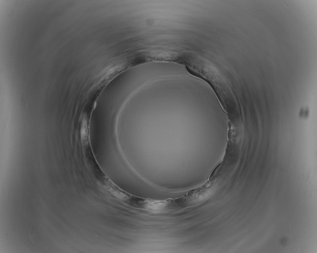 X0000097620143200803142010
