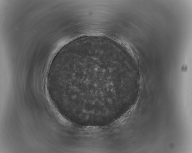 X0000097620145200803142010