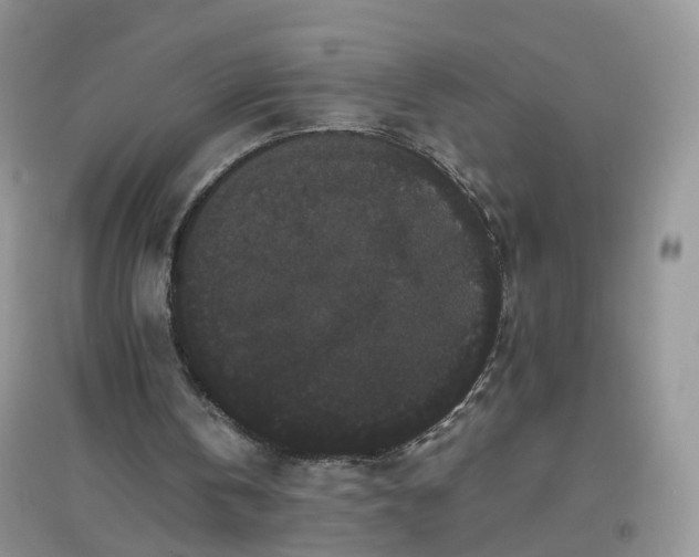 X0000097620146200803142010