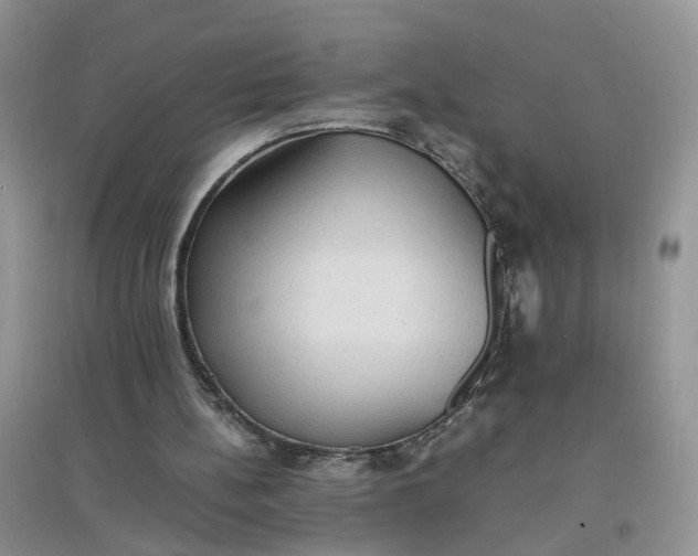 X0000097620148200803142010