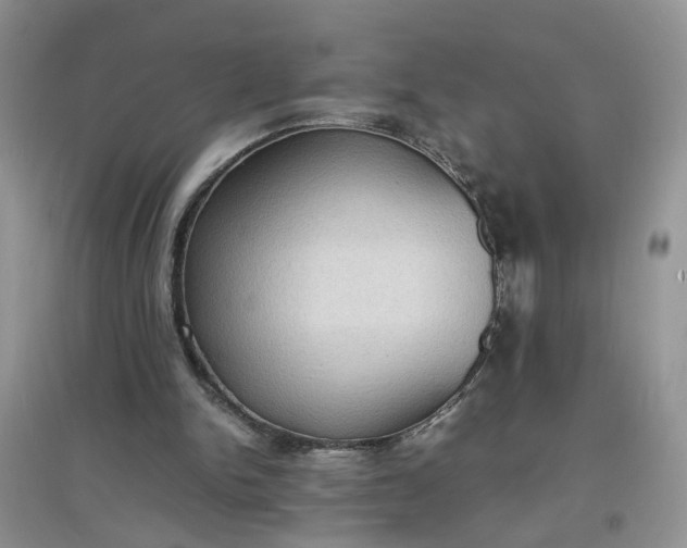X0000097620150200803142010