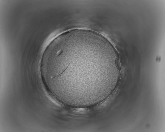 X0000097620151200803142010