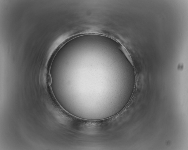 X0000097620152200803142010