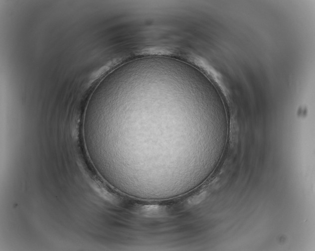 X0000097620153200803142010