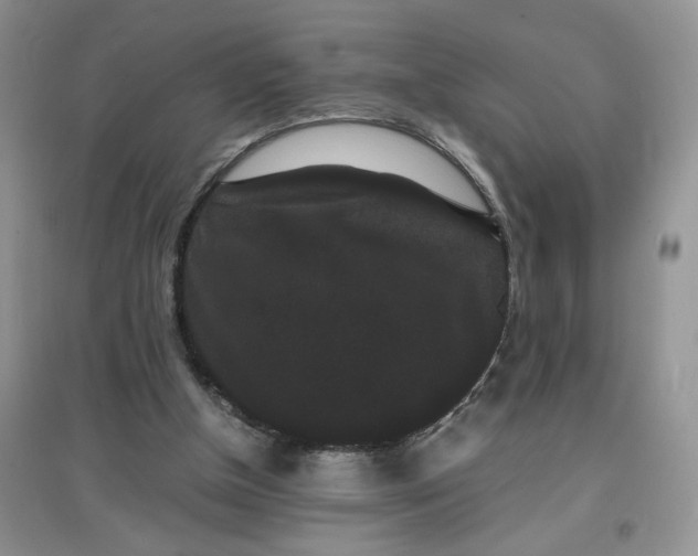 X0000097620154200803142010