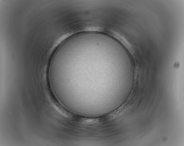 X0000097620155200803142010