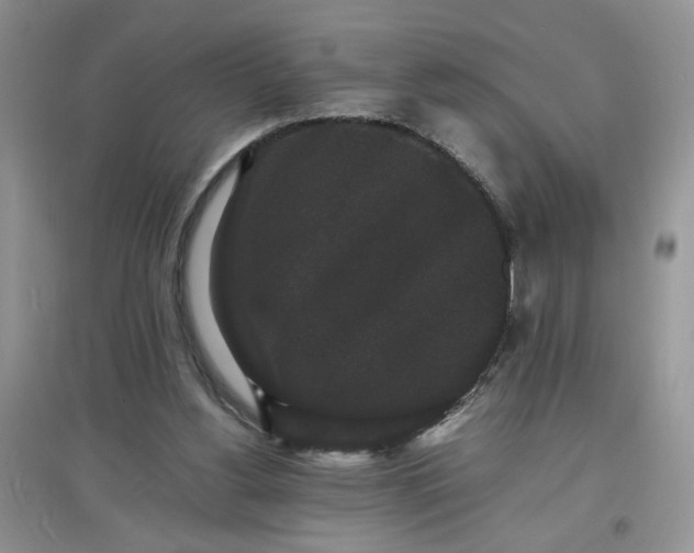 X0000097620156200803142010