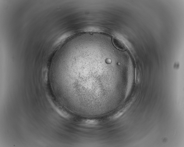 X0000097620157200803142010
