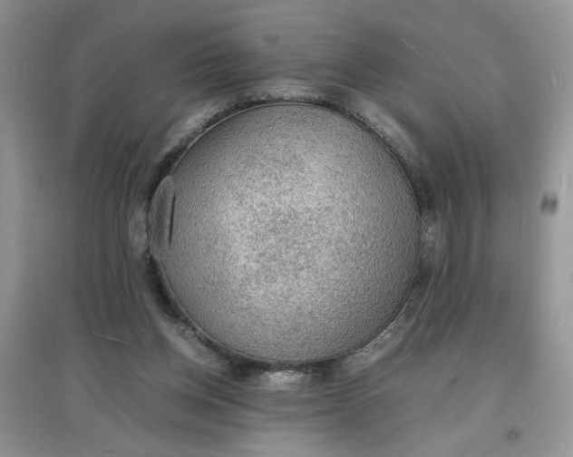 X0000097620158200803142010