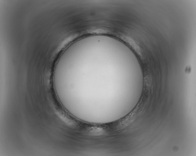 X0000097620159200803142010