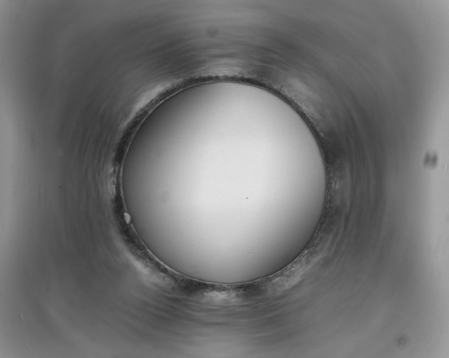X0000097620160200803142010