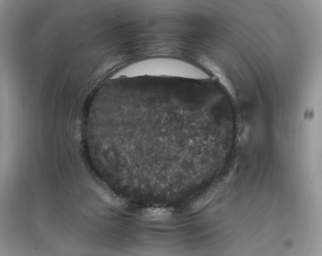 X0000097620161200803142010