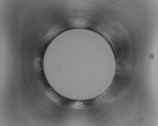 X0000097620162200803142010