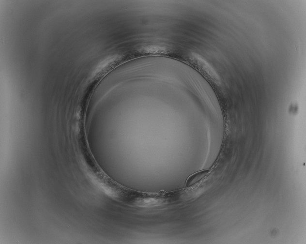 X0000097620163200803142010