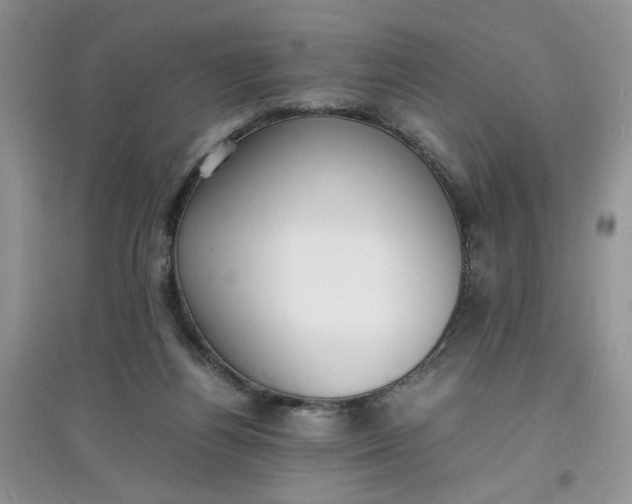 X0000097620164200803142010