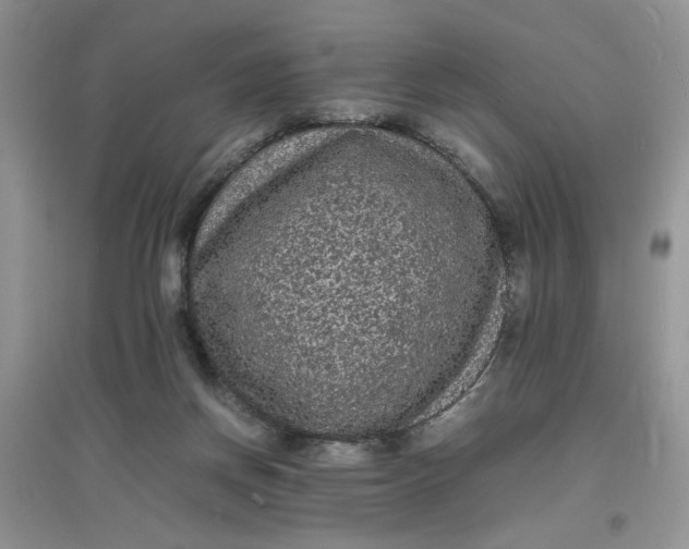 X0000097620166200803142010