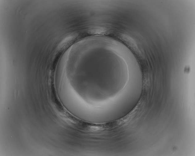 X0000097620167200803142010
