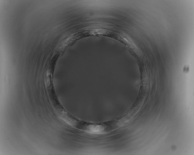 X0000097620169200803142010