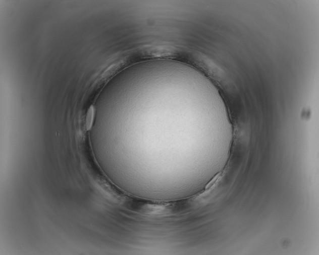 X0000097620170200803142010