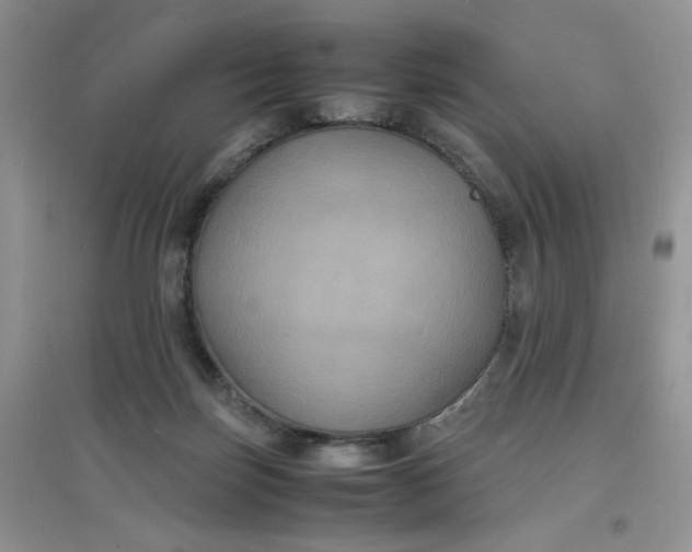 X0000097620171200803142010