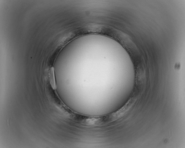 X0000097620172200803142010