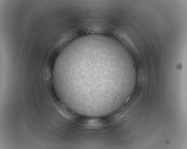X0000097620173200803142010