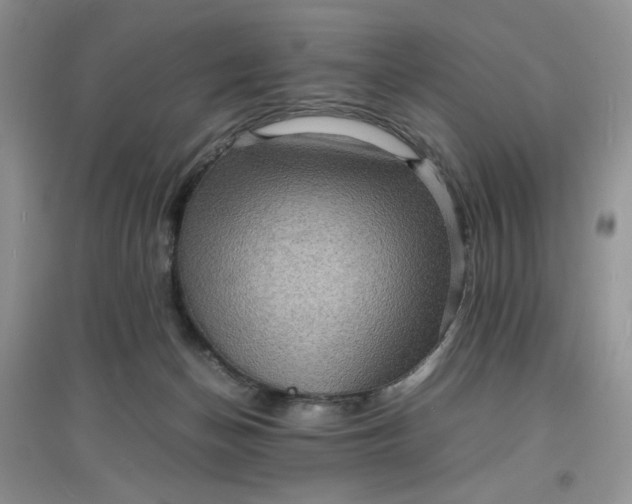 X0000097620174200803142010