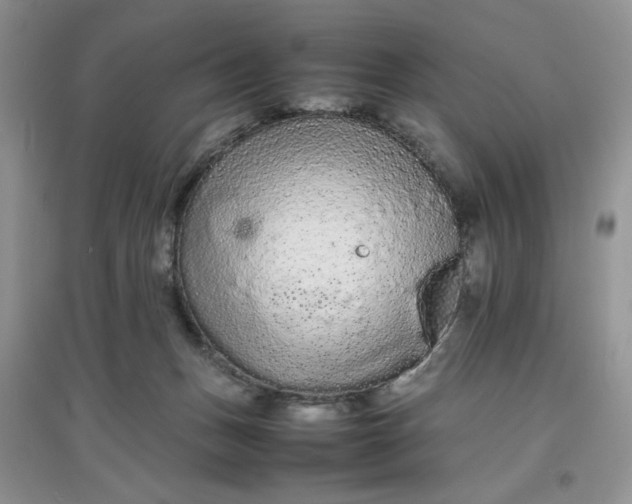 X0000097620175200803142010