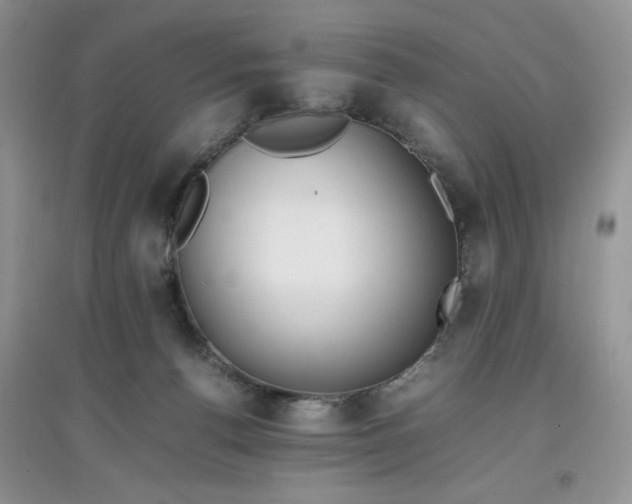 X0000097620176200803142010