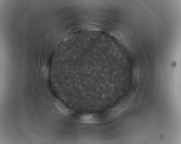 X0000097620177200803142010