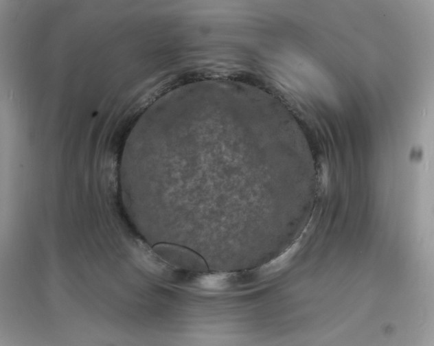 X0000097620178200803142010