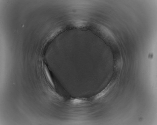 X0000097620180200803142010