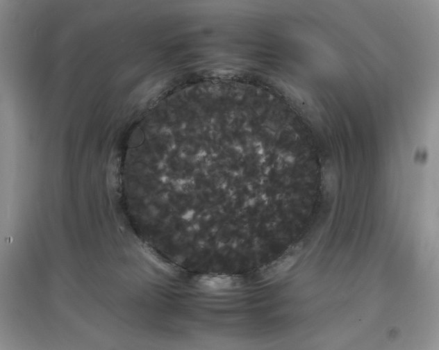 X0000097620181200803142010