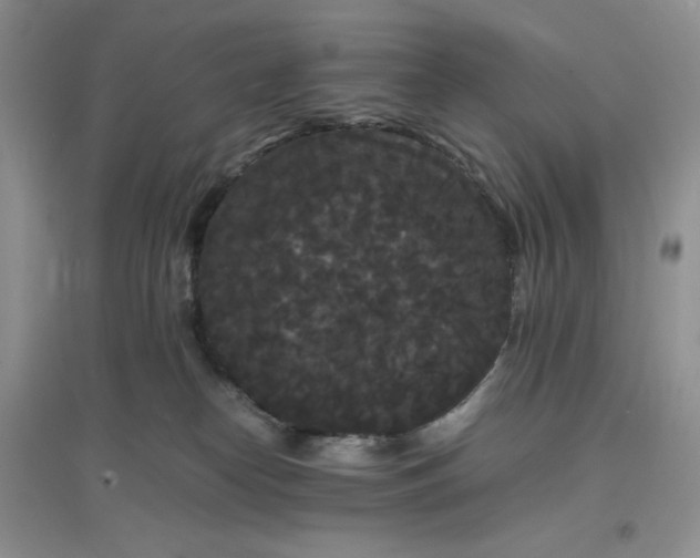 X0000097620182200803142010