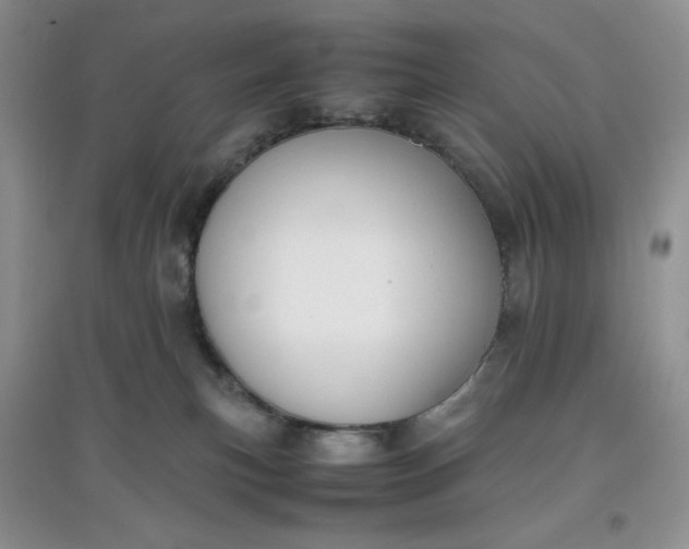 X0000097620183200803142010