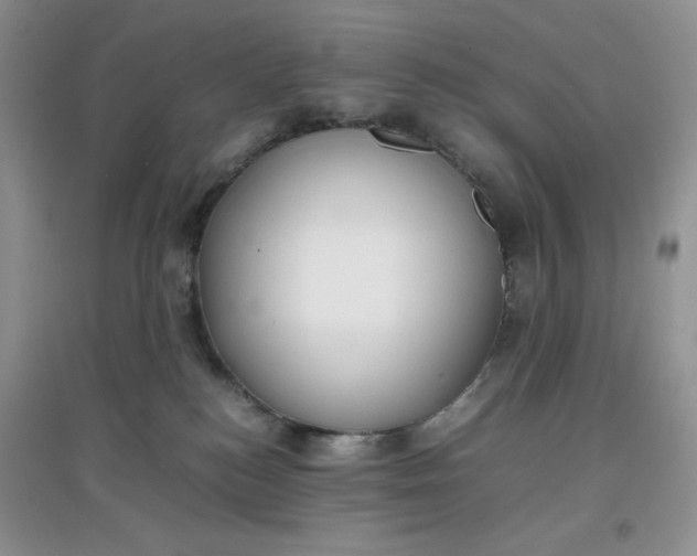 X0000097620184200803142010