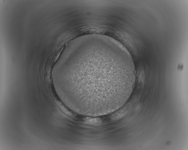 X0000097620185200803142010